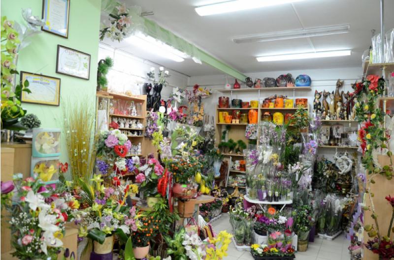 Депутат міської ради отримав ділянку під квітковий магазин на Соборній