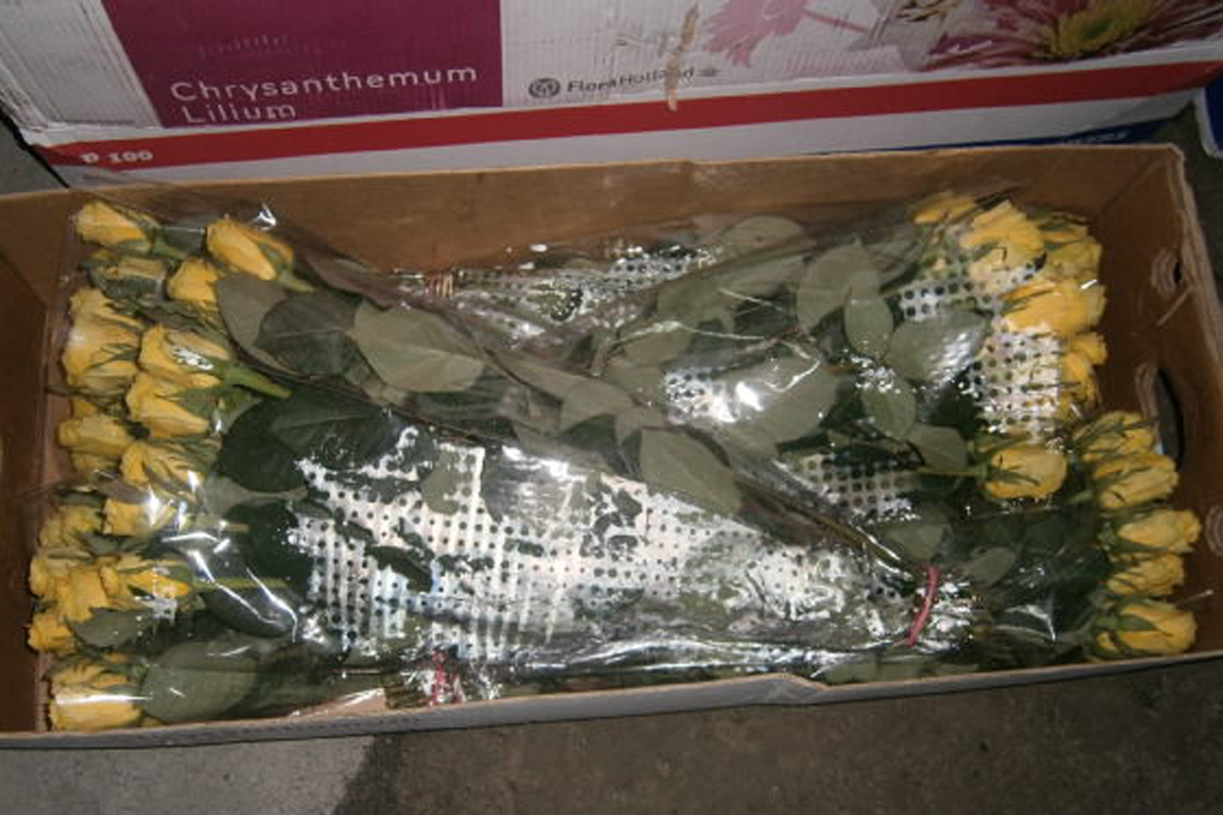 На «Раві-Руській» затримали понад 3,6 тис. контрабандних квітів (Фото)