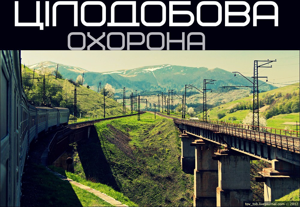 Наливайченко хочет, чтобы мосты и железнодорожные пути охраняли круглосуточно