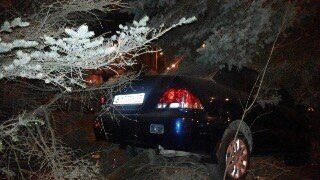 Во Львове водитель «Mitsubishi» врезался в елку (ФОТО)