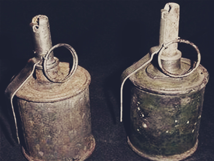 Житомирські даішники вилучили у водія гранати часів Другої світової війни