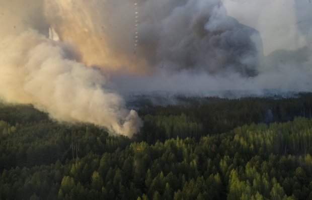 ДСНС: Причина масштабної пожежі під Чорнобилем – підпал