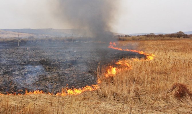 Упродовж доби рятувальники ліквідували 14 пожеж сухої трави й стерні