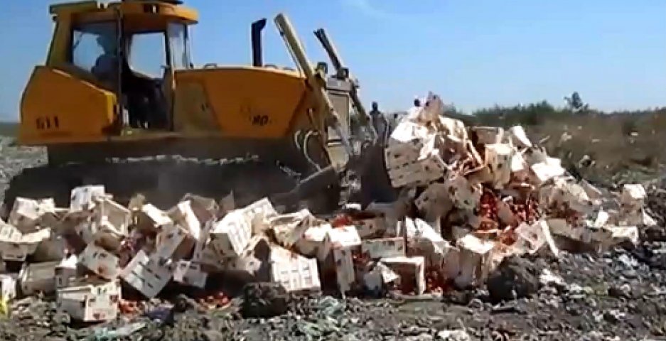 В Крыму бульдозерами давят персики из Евросоюза (відео)