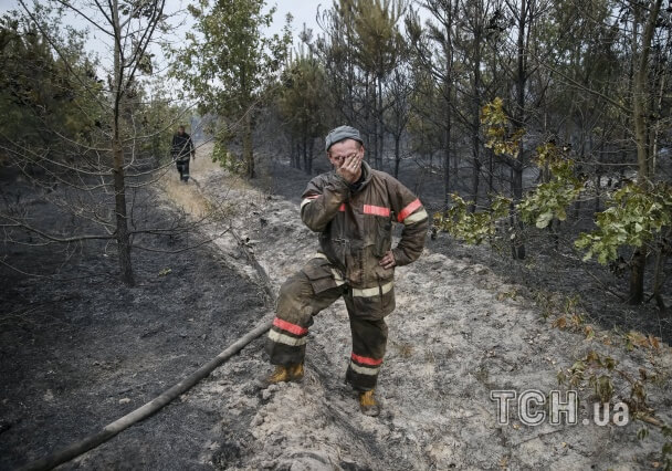 Пожар под Киевом удалось ликвидировать, – ГСЧС
