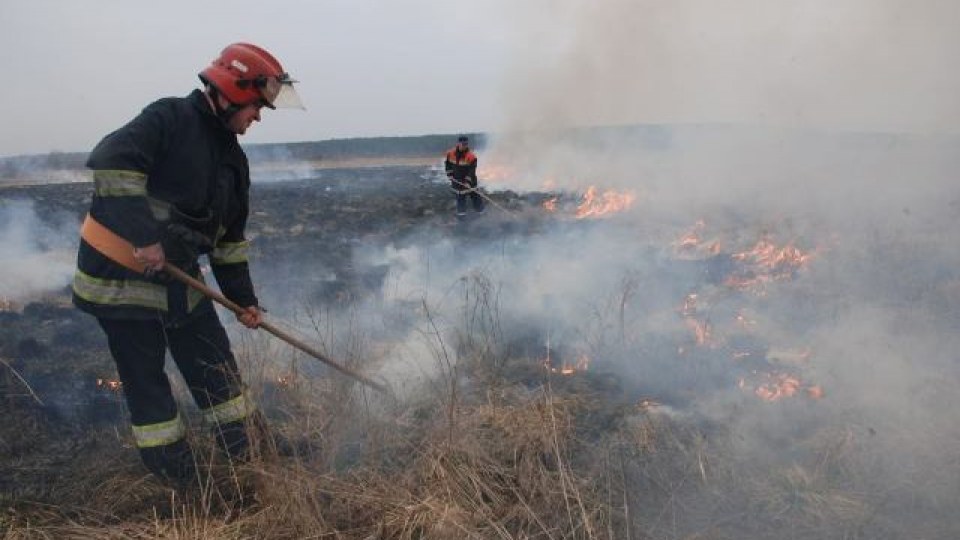 На Львовщине сгорело 30 тыс кв.м сухостоя