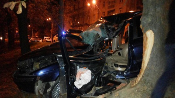 ДТП на Стрыйской: иномарка слетела с дороги (фото)