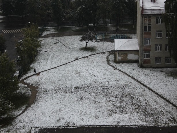 Как выглядит засыпаный снегом Львов (Фото, видео)