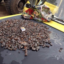 На Житомирщине СБУ провела рейд против подпольных копателей янтаря