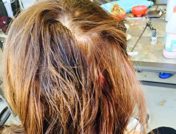 Девушке на волосы налили клей и то что она сделала позже, поразило всех! (ФОТО)