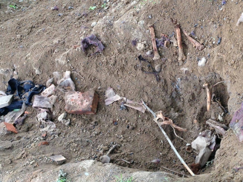 У Львові біля школи собака розкопав яму із людськими кістками (ФОТО)