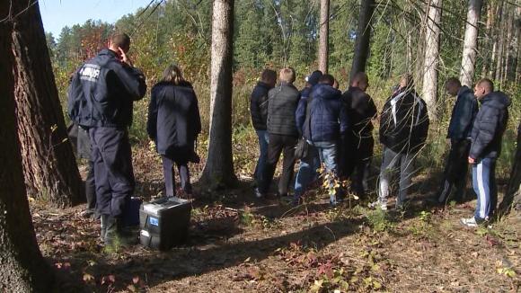 У лісі на Львівщині 38-річний чоловік задушив пенсіонерку