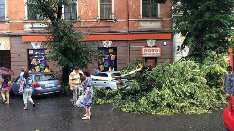В Ужгороді буревій валив дерева на машини та дороги (ФОТО)