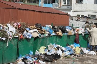 Страшні наслідки сміттєвого колапсу у Львові: нового звалища немає, а жителям загрожують воші та холера
