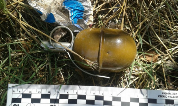 У Донецькій обл. чоловік у купі сміття виявив три бойові гранати
