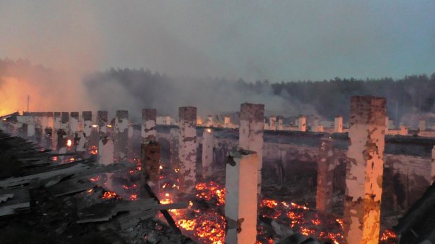 Масштабна пожежа сколихнула Чернігівщину (фото)