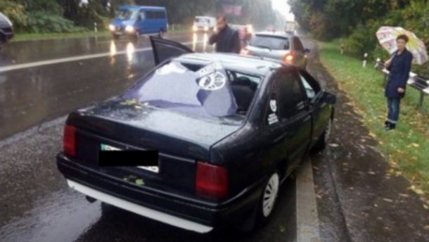 Негода на Львівщині: на машину посеред дороги впало дерево (ФОТО)