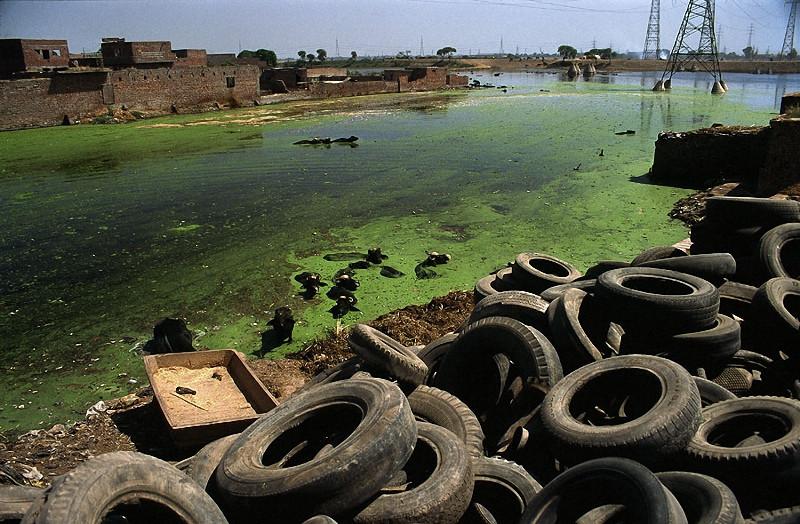 На Донеччині існують ризики хімічного забруднення — ОБСЄ