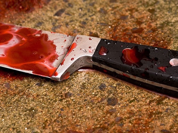 Стали відомі моторошні подробиці бездушного вбивства: на тілі матері дочка залишила 50 ножових поранень
