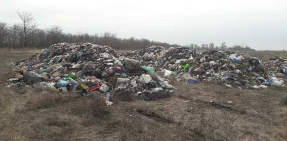 В зв’язку з незаконним скиданням сміття у Львові відкрито понад 10 кримінальних справ