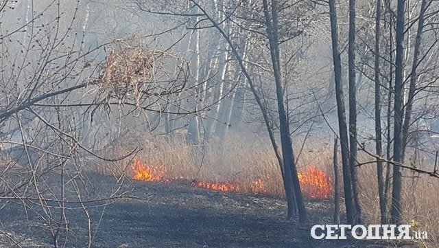 ЖАХ! Маштабна пожежа захопила Київ (ФОТО)