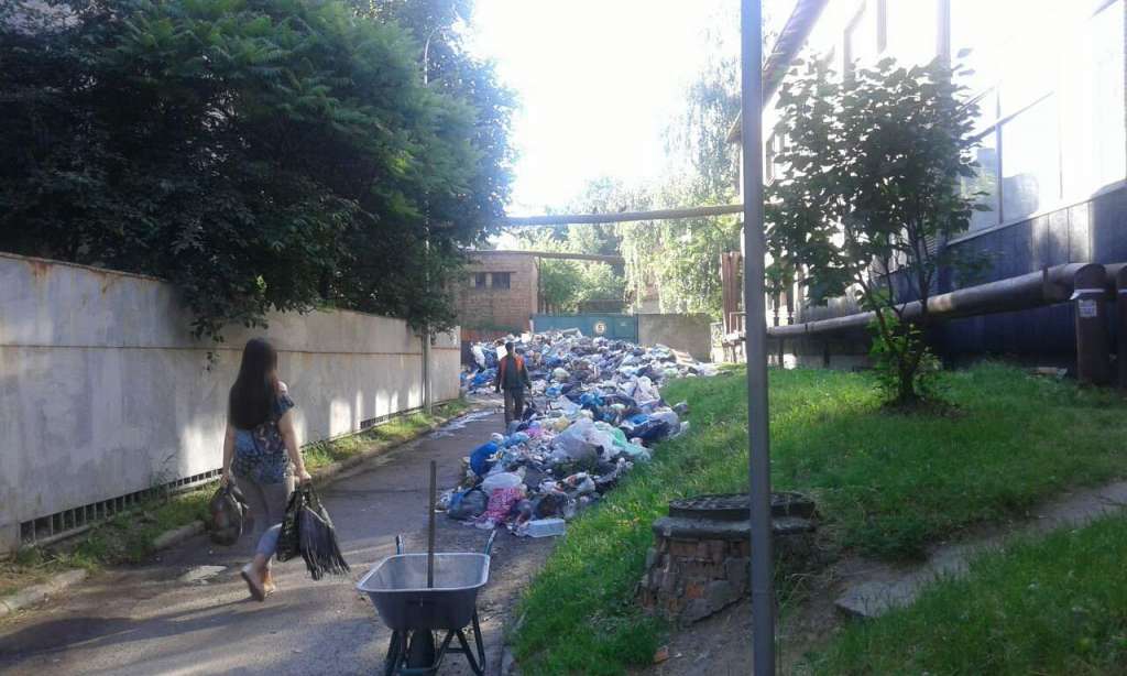“Цвіте і пахне”: У Львові знайшли вулицю з НАЙБІЛЬШОЮ кількістю сміття! Ви зомлієте коли це побачите (ФОТО)