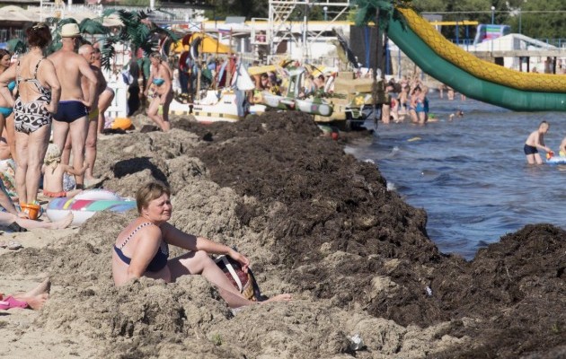Засмагають біля “куп гною”. Мережу шокувало фото відпочивальників на кримському пляжі