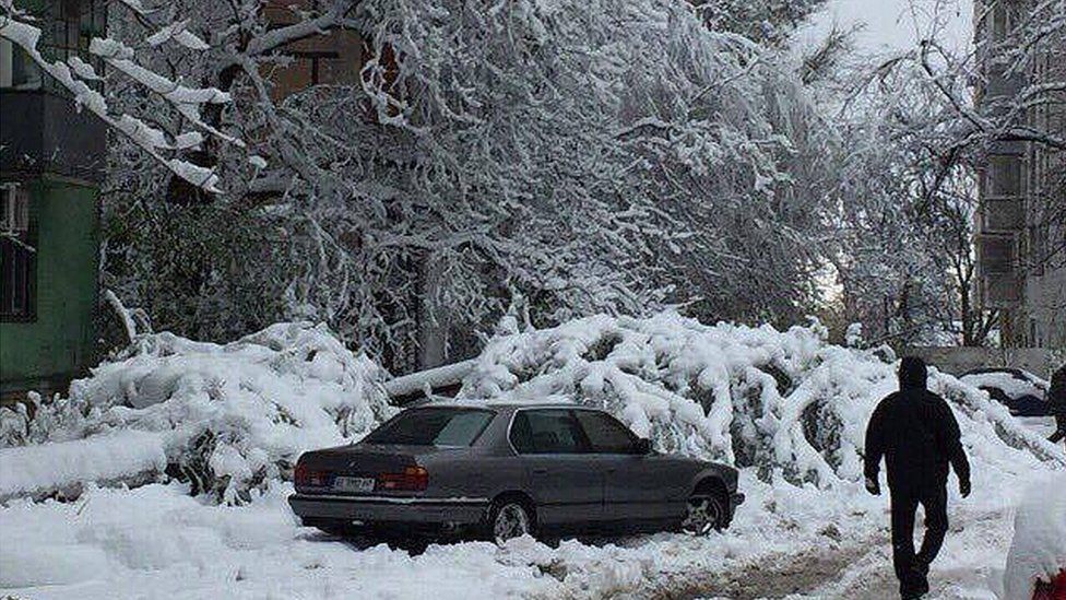 Зима вже тут! Одну з областей України засипав сніг. Ми до ТАКОГО не були готові
