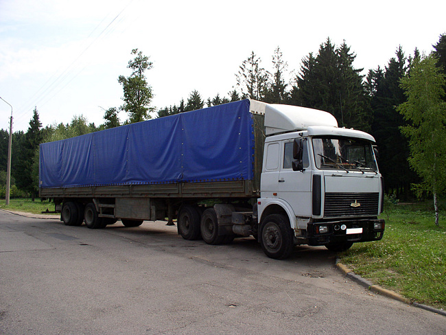 “Загинув під колесами власної вантажівки…”: Трагедія трапилась на Львівщині
