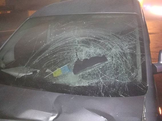 Ще одна трагедія: під Черніговом автівка на смерть збила матір з дітьми