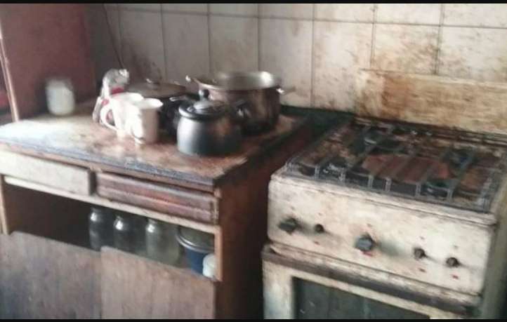 “Природні потреби вони роками справляють просто на підлогу…”: Квартира київлянки вразила всю Україну