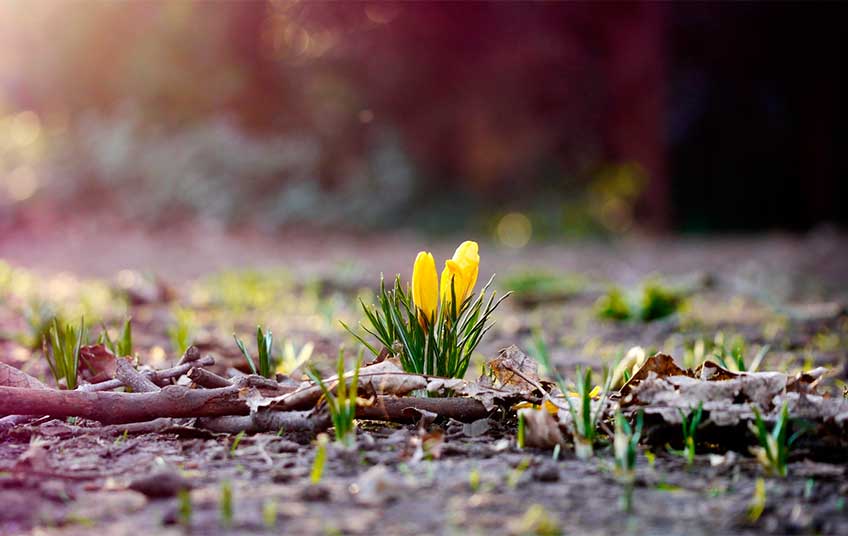 “Наступила нова епоха, новий “планетарний день”: Українцям повідомили якими будуть весна і літо, вже давно такого не бачили