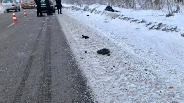“Залишила помирати на узбіччі дороги”: На Львівщині жінка-водій збила чоловіка і втекла