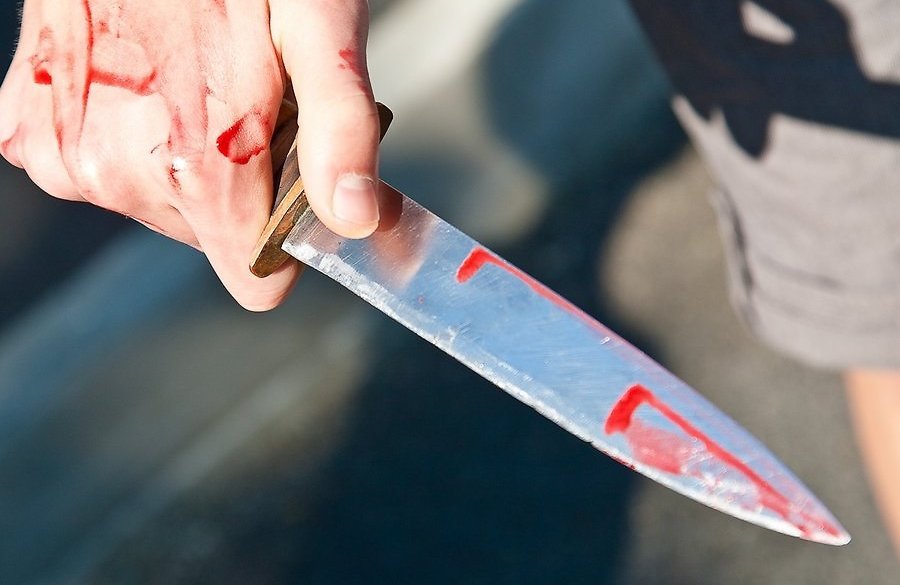 Жорстоке подвійне вбивство: Жінка знайшла зарізаними свого чоловіка та свекруху, яких буквально зрешетили ножами