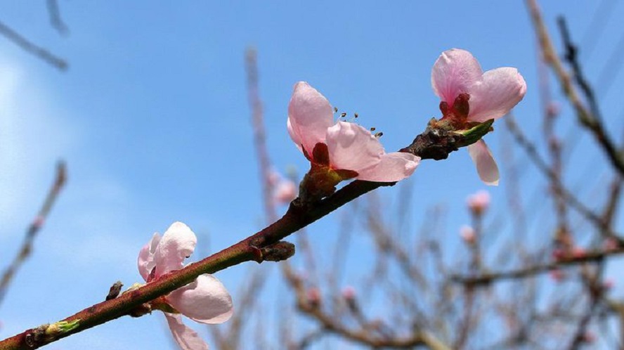 Примхлива весна: Синоптики розповіли, якої погоди чекати завтра