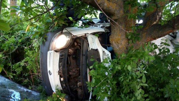 Від потужного удару, авто застрягло в дереві: П’ятеро людей загинули, ще троє отримали травми