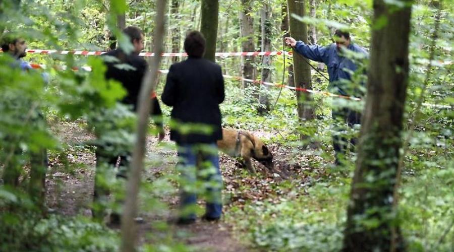 Заманили в ліс, щоб пограбувати: 15-річна дівчинка з двома товаришами жорстоко зарізала невинниго чоловіка