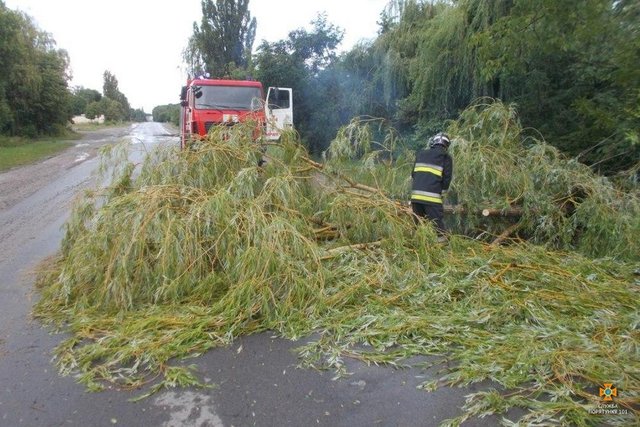 Сильні зливи на заході України: вітер ламав дерева і зносив дахи