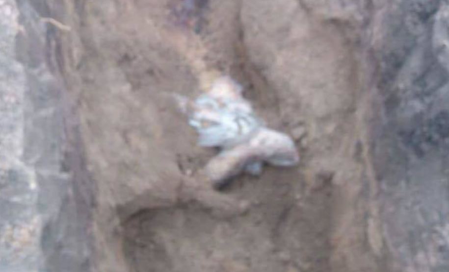 Жорстоке потрійне вбивство: На Сумщині виявили закопаними тіла трьох людей з вогнепальними пораненнями