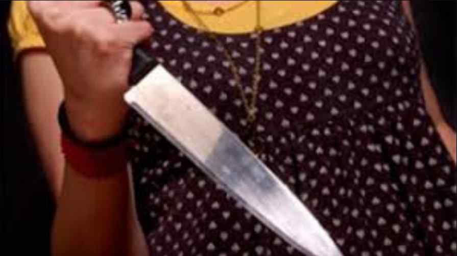 У Київській області п’яна невістка з ножем напала на свекра