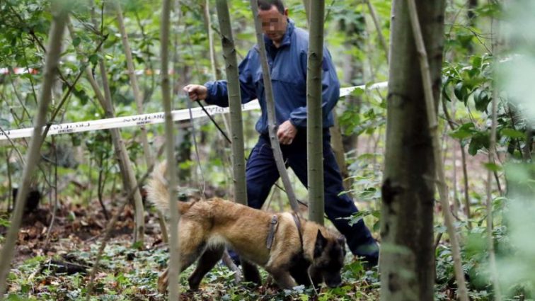 Заховали під гілками: У лісосмузі Києва знайшли тіло жінки