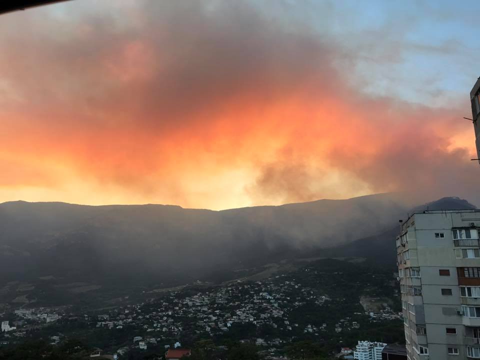 “Останнє коло пекла”: В Кримському лісі спалахнула масштабна пожежа