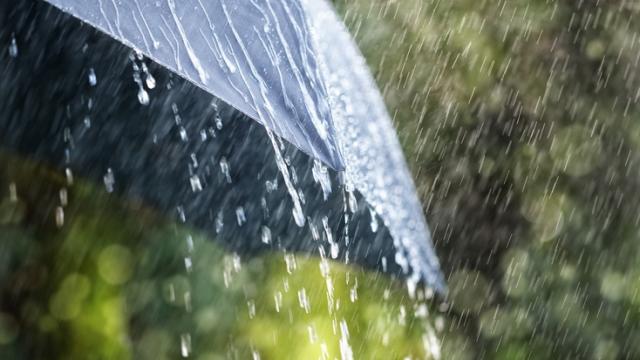 Дощі та похолодання: Синоптик дала прогноз погоди на восьме вересня