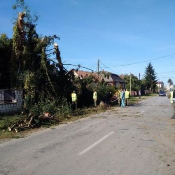 Руйнував будинки і виривав дерева: село біля Ужгорода зруйнувало торнадо