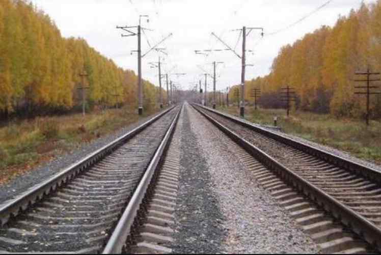 Жахлива трагедія під Львовом: чоловік потрапив під поїзд