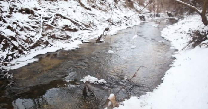 На Львівщині у річці знайшли тіло жінки: перші подробиці трагедії