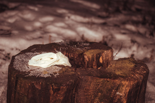 Тіло лежало під деревами: У Києві знайшли труп чоловіка