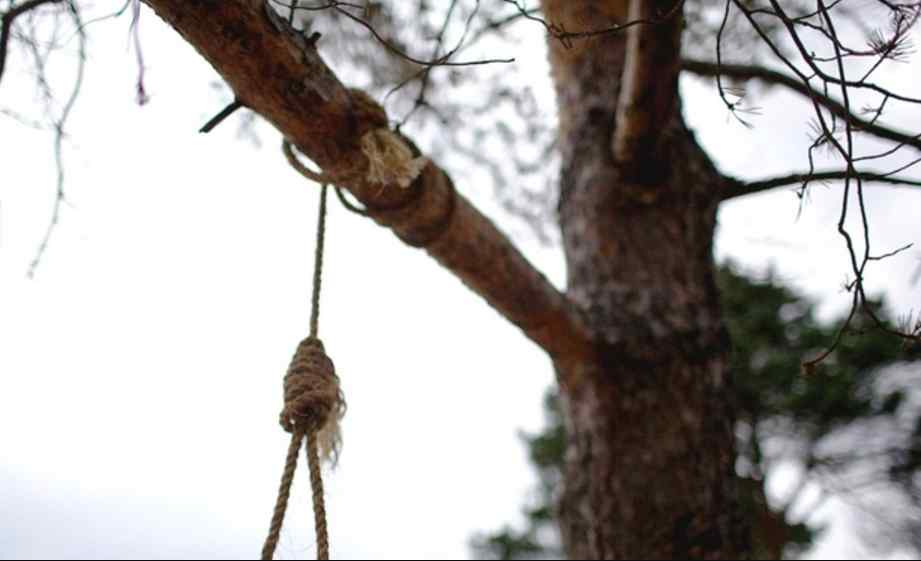 “Сьогоднi та сама нiч, якою все закiнчиться”: 15-річного студента музичного коледжу знайшли повішеним на дереві