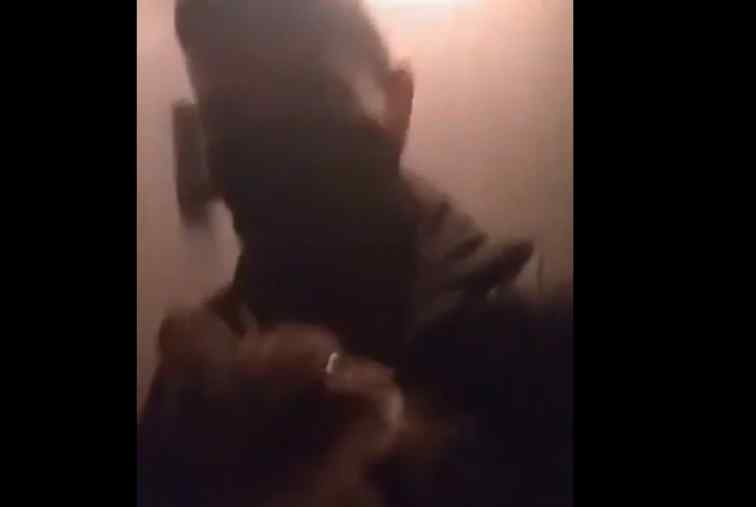 “Потенційні злочинці”: У Львові двоє неадекватних підлітків викинули кота з 9 поверху, знімаючи це на відео