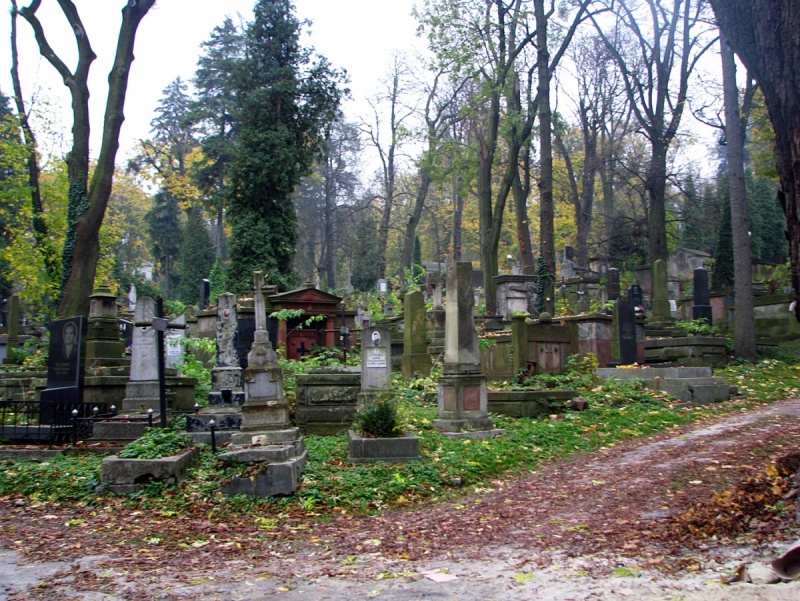 “Повалив на землю та став бити в обличчя”: В Одесі молоду дівчину побили та пограбували прямо на цвинтарі